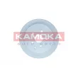 Jeu de 2 disques de frein arrière KAMOKA 103465 - Visuel 1