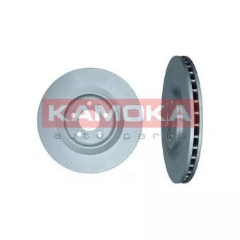 Jeu de 2 disques de frein arrière KAMOKA 103619