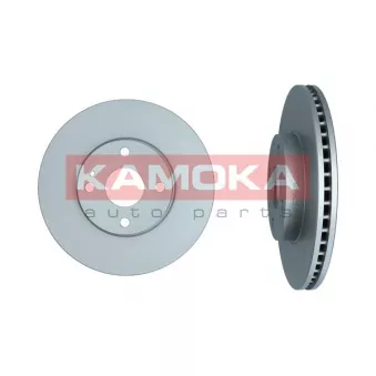 Jeu de 2 disques de frein arrière KAMOKA 103646