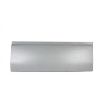 Porte, Carrosserie BLIC 6505-06-2092110P