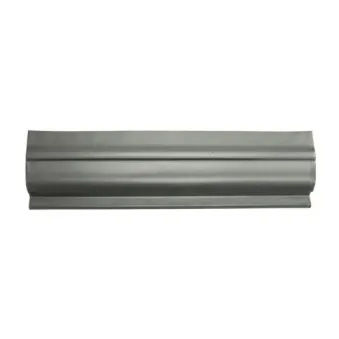 Panneau latéral BLIC 6505-06-2092111P