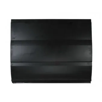 Panneau latéral BLIC 6505-06-2509102P