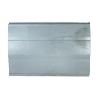 Panneau latéral BLIC 6505-06-2509103P
