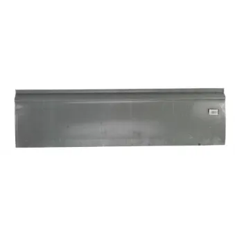 Panneau latéral BLIC 6505-06-2509107P