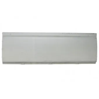 Panneau latéral BLIC 6505-06-2515000P