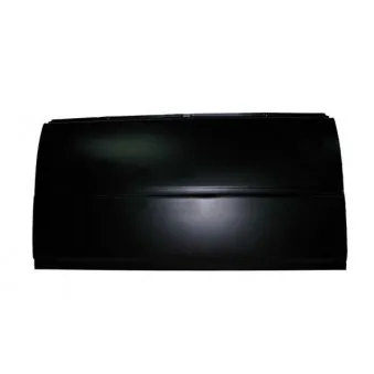 Panneau latéral BLIC 6505-06-2515001P