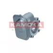 Corps papillon KAMOKA 112050 - Visuel 3