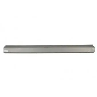 Marche-pied BLIC 6505-06-3203017P