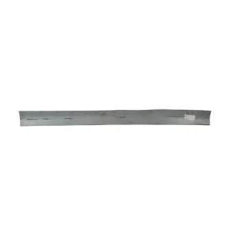 Marche-pied BLIC 6505-06-3290015P