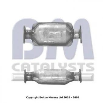 Catalyseur BM CATALYSTS BM80005H