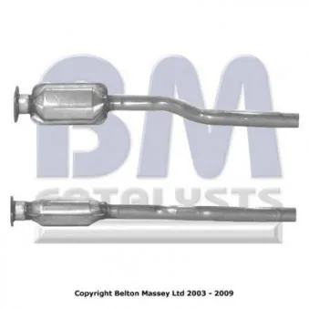 Catalyseur BM CATALYSTS BM80009H