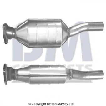 Catalyseur BM CATALYSTS BM80011H