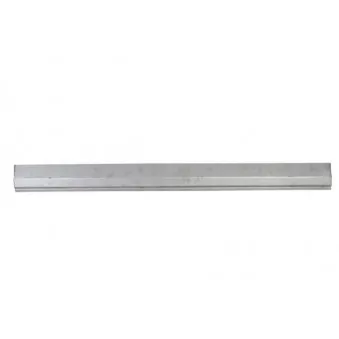Panneau latéral BLIC 6505-06-3540011P