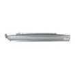 Marche-pied BLIC 6505-06-3542001P - Visuel 1