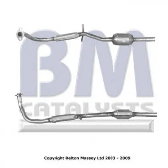 Catalyseur BM CATALYSTS BM80017H