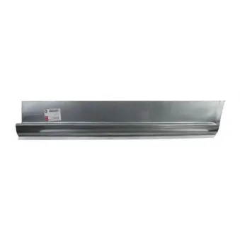 Panneau latéral BLIC 6505-06-3542011K