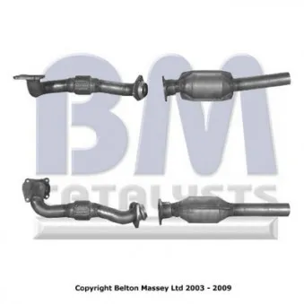Catalyseur BM CATALYSTS BM80019H