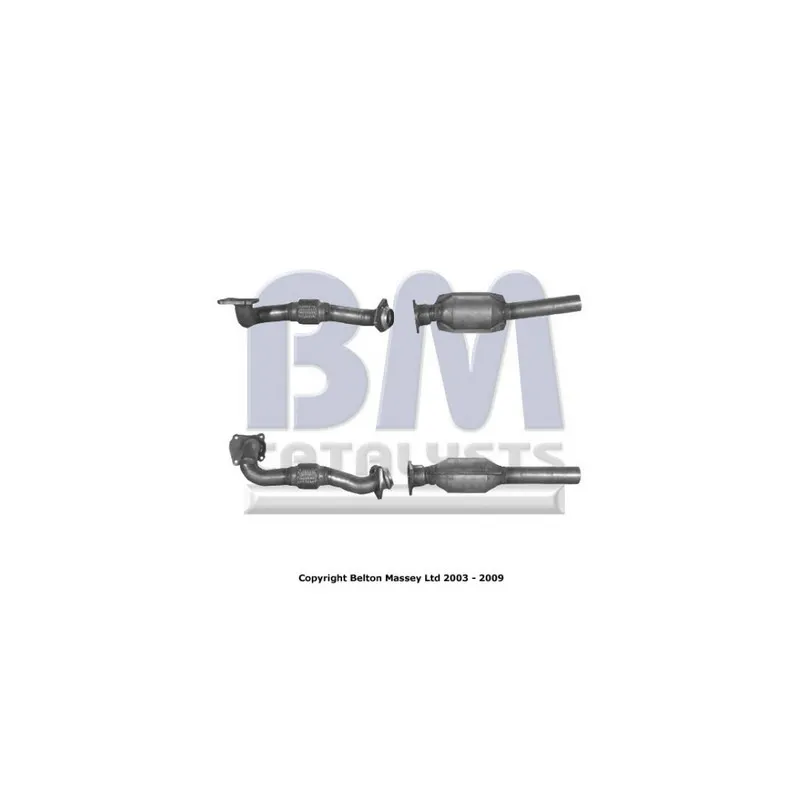 Catalyseur BM CATALYSTS BM80019H