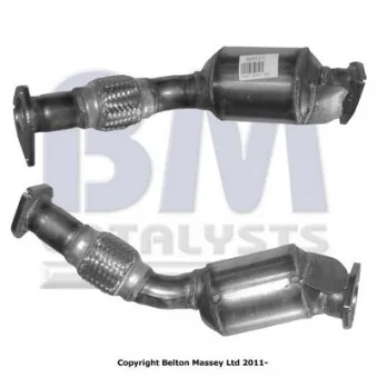 Catalyseur BM CATALYSTS BM80021H