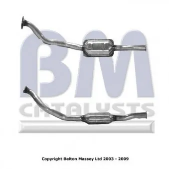 Catalyseur BM CATALYSTS BM80022H
