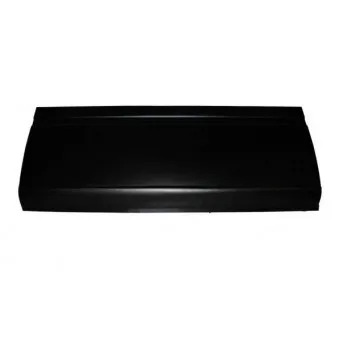 Panneau latéral BLIC 6505-06-3546001P