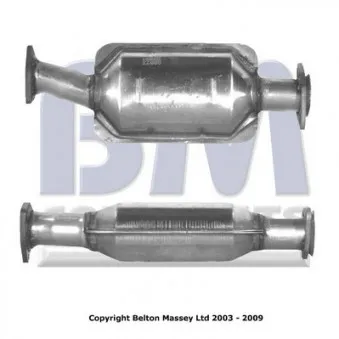 Catalyseur BM CATALYSTS BM80023H