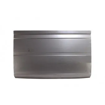 Panneau latéral BLIC 6505-06-3546011P