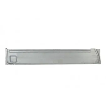Porte, Carrosserie BLIC 6505-06-3546013P