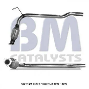 Catalyseur BM CATALYSTS BM80025H
