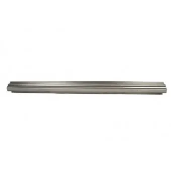 Marche-pied BLIC 6505-06-3710016P