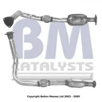 Catalyseur BM CATALYSTS BM80028H
