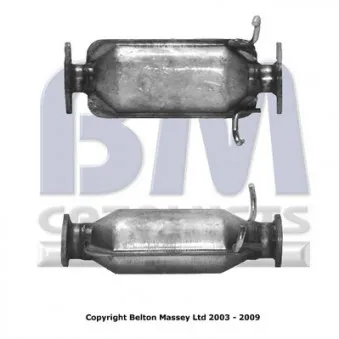 Catalyseur BM CATALYSTS BM80034H