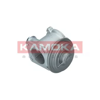 Vanne EGR KAMOKA 19062