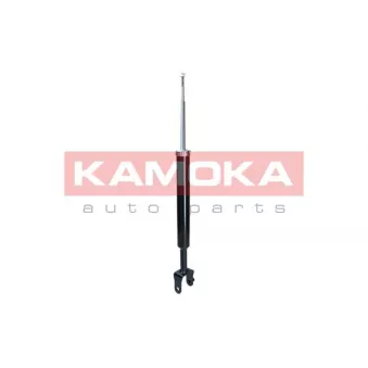 Jeu de 2 amortisseurs arrière KAMOKA 2000097
