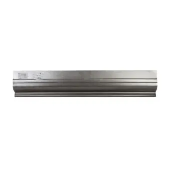 Panneau latéral BLIC 6505-06-6011001P