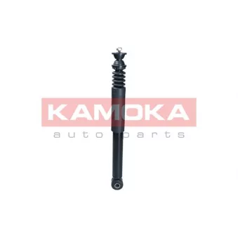 Jeu de 2 amortisseurs arrière KAMOKA 2000751