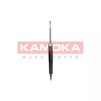 Jeu de 2 amortisseurs arrière KAMOKA 2000934