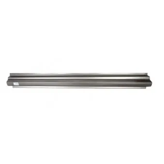 Marche-pied BLIC 6505-06-6425016P