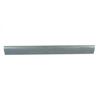 Marche-pied BLIC 6505-06-6425017P