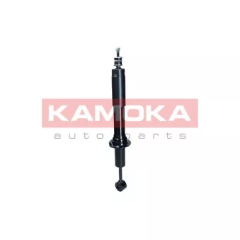 Jeu de 2 amortisseurs avant KAMOKA 2001156