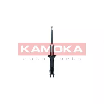 Jeu de 2 amortisseurs avant KAMOKA