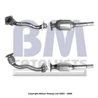 Catalyseur BM CATALYSTS BM80055H