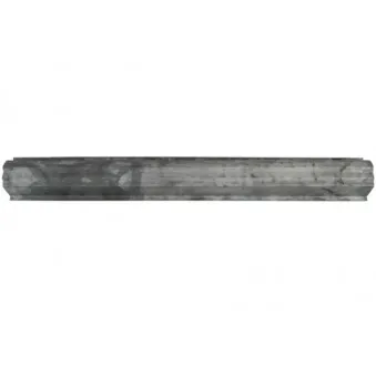 Marche-pied BLIC 6505-06-6820015P