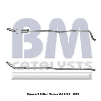 Catalyseur BM CATALYSTS BM80060H