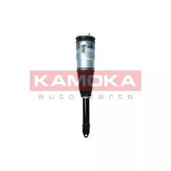 Armortisseur pneumatique KAMOKA 2070005