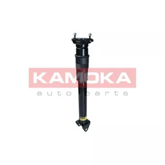 Armortisseur pneumatique KAMOKA 2070014