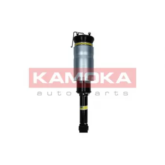 Armortisseur pneumatique KAMOKA 2070024