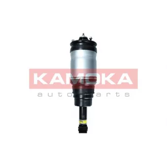 Armortisseur pneumatique KAMOKA 2070025