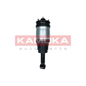 Armortisseur pneumatique KAMOKA 2070026