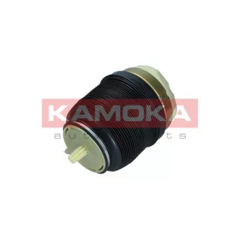 Ressort pneumatique, châssis KAMOKA 2079002